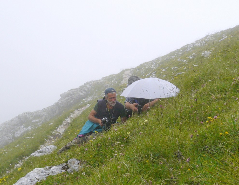 Il Gran Sasso e le orchidee - il mio omaggio al Gigante dellAppennino.